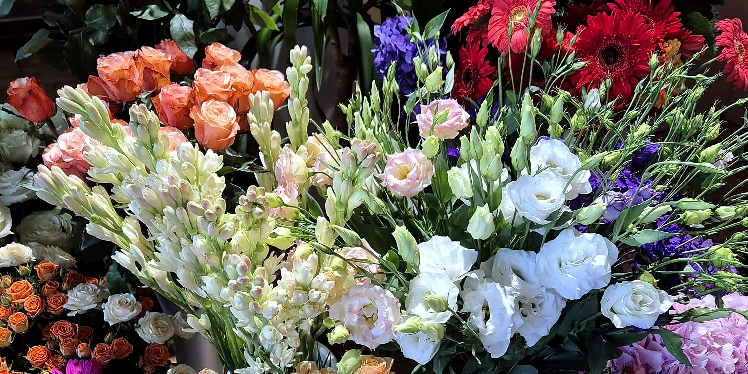 Vitrina florăriei Iris Blue, plină de flori tăiate în găleți
