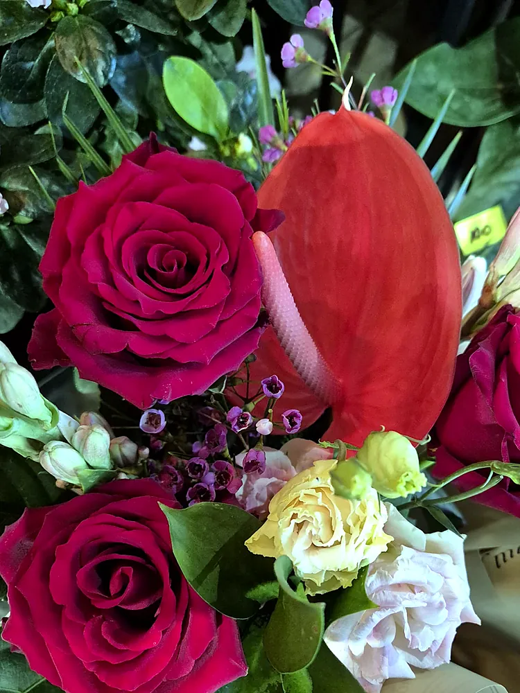 Buchet cu trandafiri roșii, anthurium roșu și floare de ceară mov
